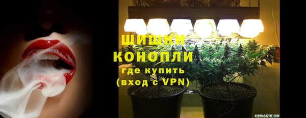 гидра Алексеевка