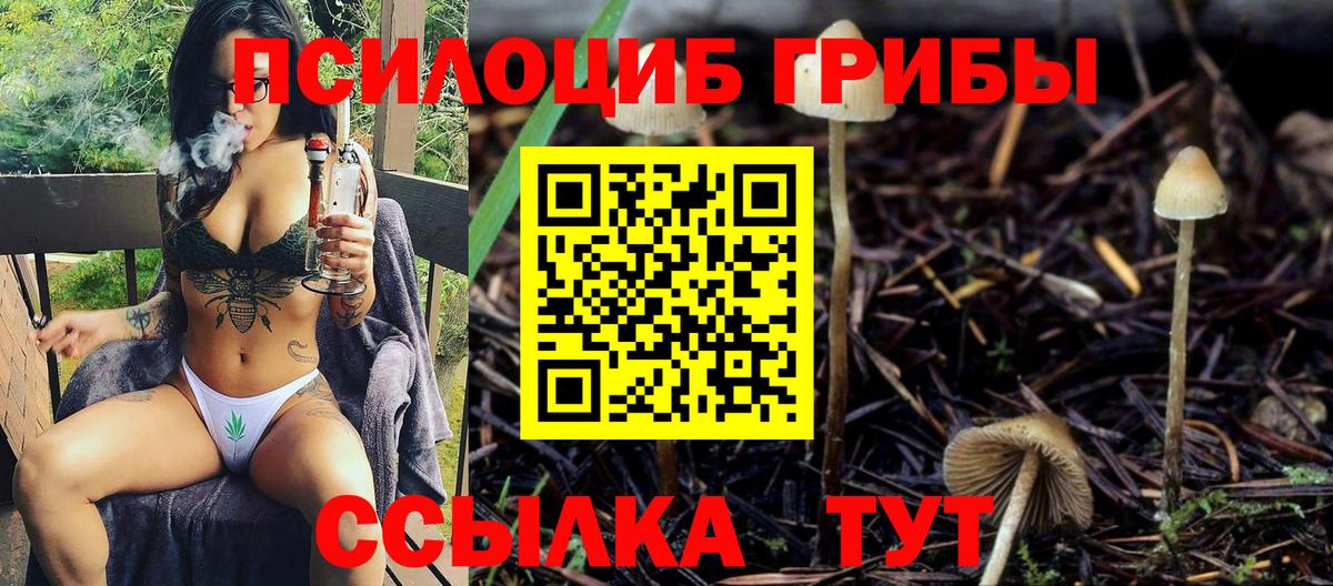купить закладку  Вход с VPN  Кинель  Галлюциногенные грибы прущие грибы  Галлюциногенные грибы Magic Shrooms 