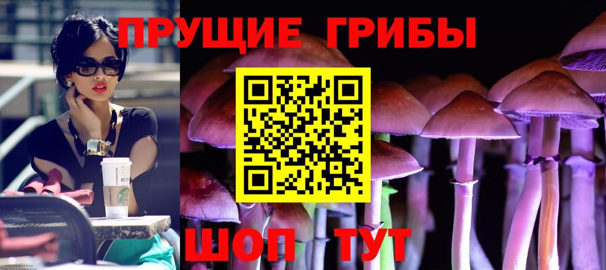 Псилоцибиновые грибы MAGIC MUSHROOMS Кинель